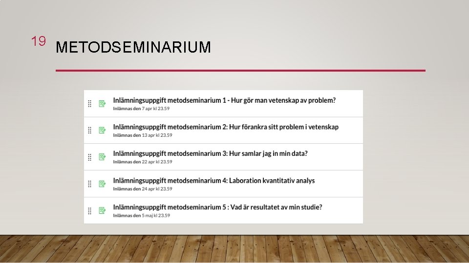 19 METODSEMINARIUM 
