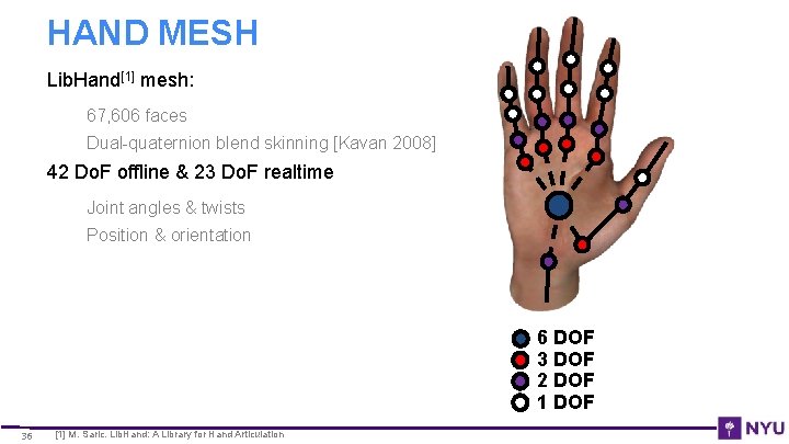 HAND MESH Lib. Hand[1] mesh: 67, 606 faces Dual-quaternion blend skinning [Kavan 2008] 42