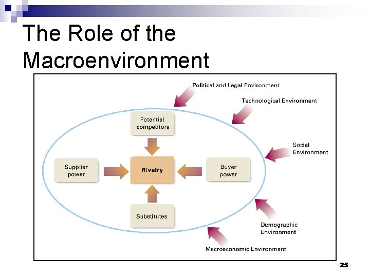 The Role of the Macroenvironment 25 