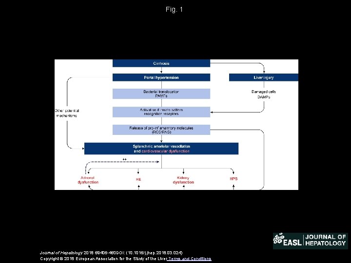 Fig. 1 Journal of Hepatology 2018 69406 -460 DOI: (10. 1016/j. jhep. 2018. 03.