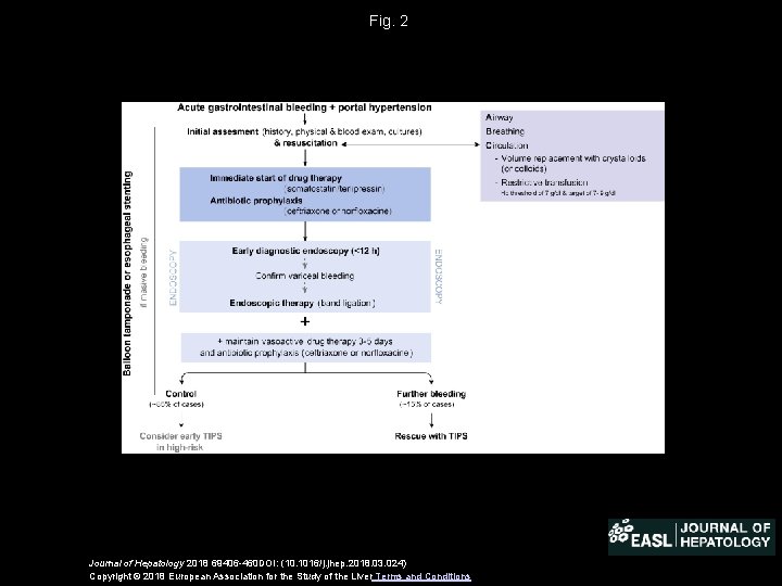 Fig. 2 Journal of Hepatology 2018 69406 -460 DOI: (10. 1016/j. jhep. 2018. 03.