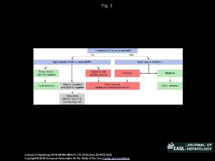 Fig. 3 Journal of Hepatology 2018 69406 -460 DOI: (10. 1016/j. jhep. 2018. 03.