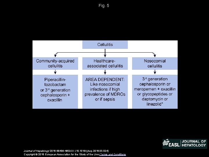 Fig. 5 Journal of Hepatology 2018 69406 -460 DOI: (10. 1016/j. jhep. 2018. 03.