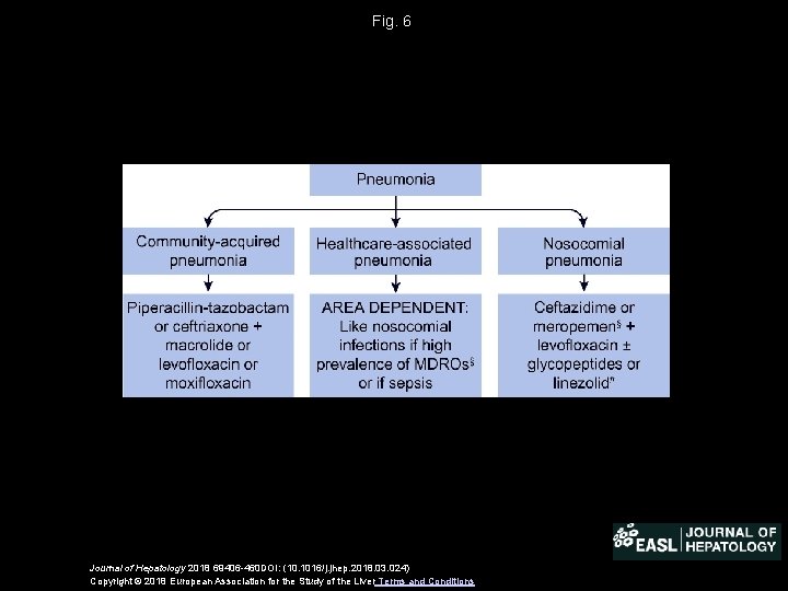 Fig. 6 Journal of Hepatology 2018 69406 -460 DOI: (10. 1016/j. jhep. 2018. 03.