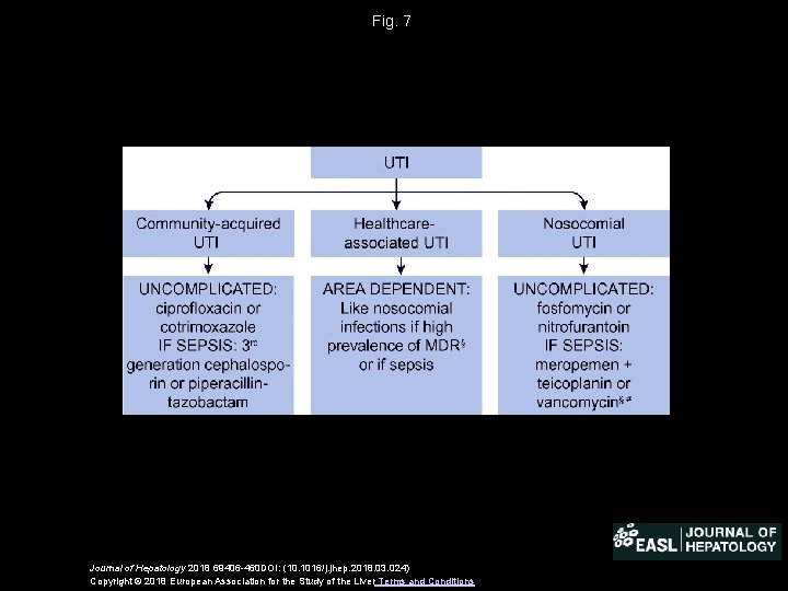 Fig. 7 Journal of Hepatology 2018 69406 -460 DOI: (10. 1016/j. jhep. 2018. 03.