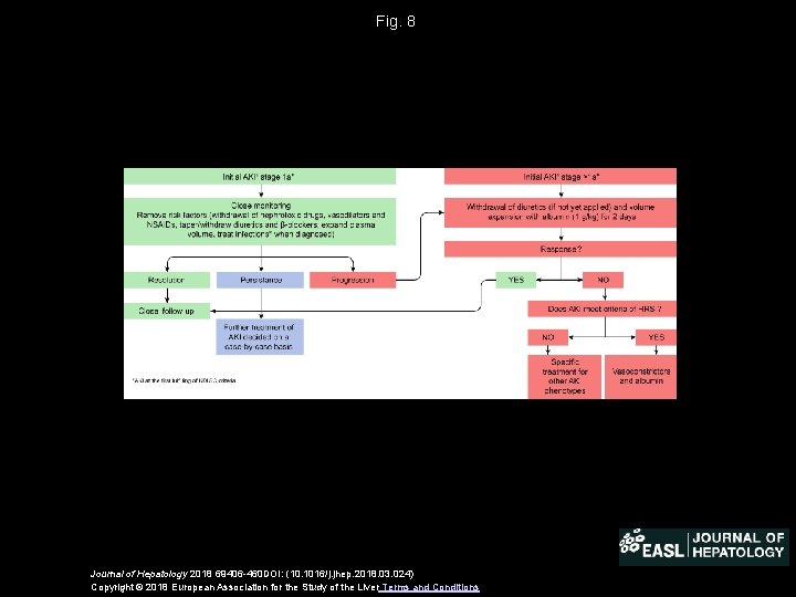 Fig. 8 Journal of Hepatology 2018 69406 -460 DOI: (10. 1016/j. jhep. 2018. 03.
