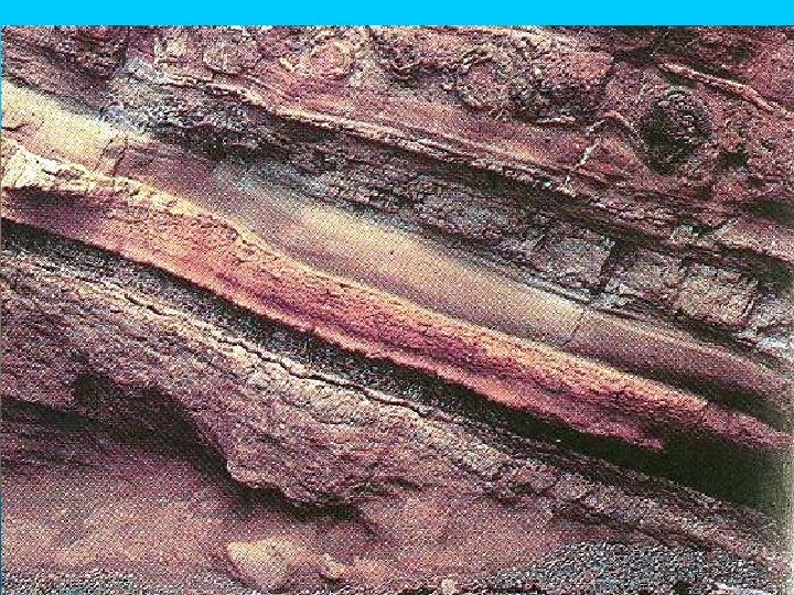 SEDIMENTARY ROCKS FORM IN LAYERS CALLED STRATA Oldest rocks are on the bottom…. youngest