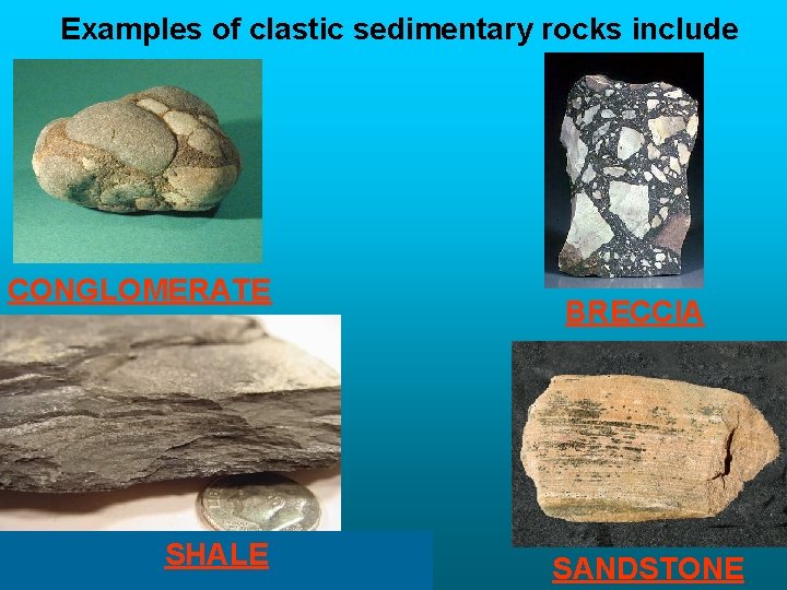 Examples of clastic sedimentary rocks include CONGLOMERATE SHALE BRECCIA SANDSTONE 