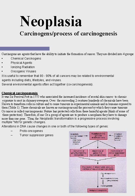 Neoplasia Carcinogens/process of carcinogenesis Carcinogens are agents that have the ability to initiate the Neoplasia Carcinogens/process of carcinogenesis Carcinogens are agents that have the ability to initiate the