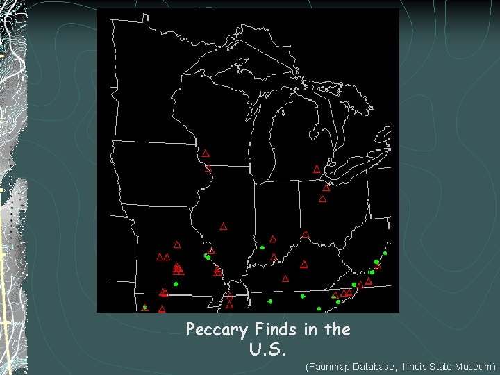 Peccary Finds in the U. S. (Faunmap Database, Illinois State Museum) 