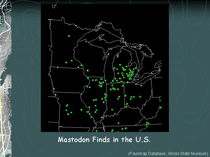 Mastodon Finds in the U. S. (Faunmap Database, Illinois State Museum) 