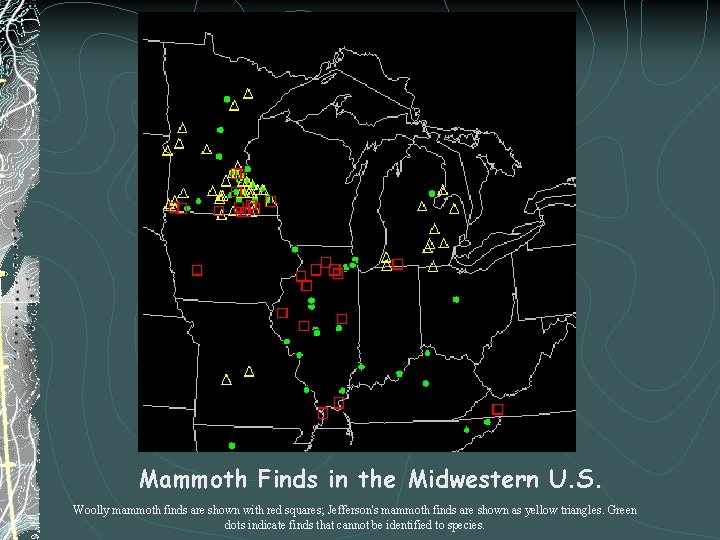 Mammoth Finds in the Midwestern U. S. Woolly mammoth finds are shown with red