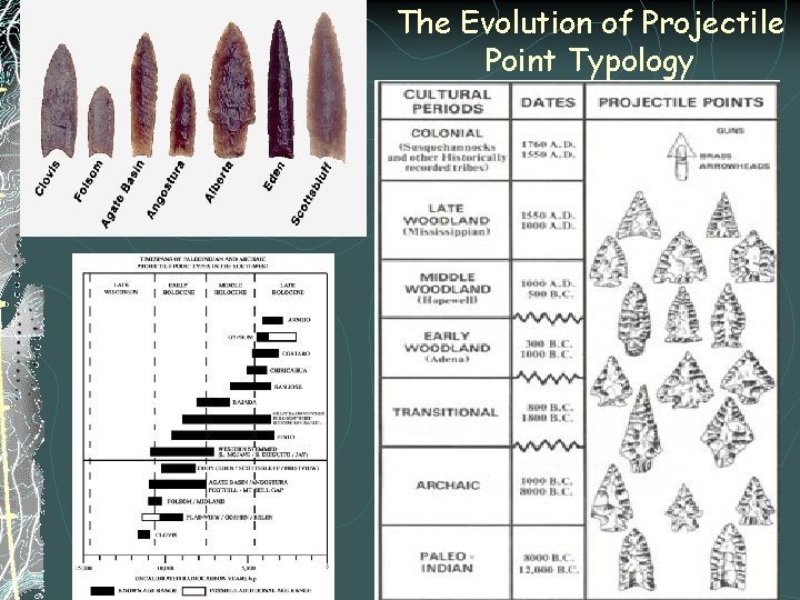 The Evolution of Projectile Point Typology 