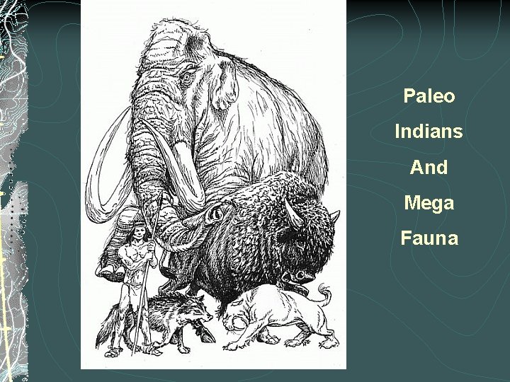 Paleo Indians And Mega Fauna 