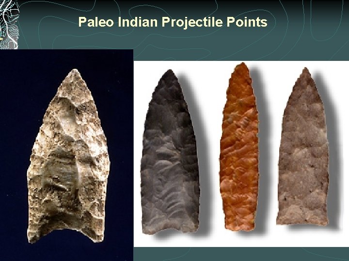 Paleo Indian Projectile Points 