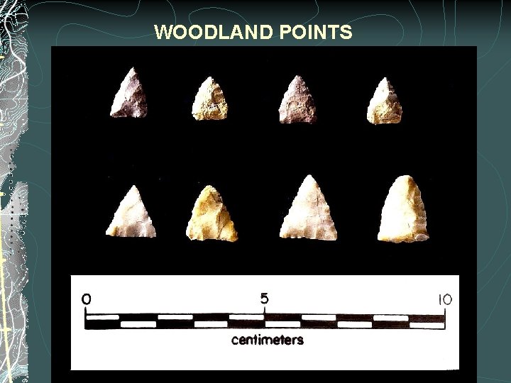 WOODLAND POINTS 