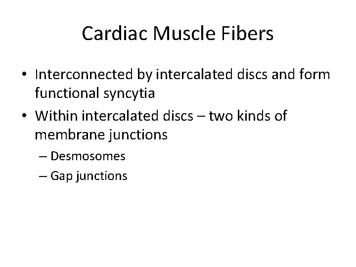 Cardiac Muscle Fibers • Interconnected by intercalated discs and form functional syncytia • Within Cardiac Muscle Fibers • Interconnected by intercalated discs and form functional syncytia • Within