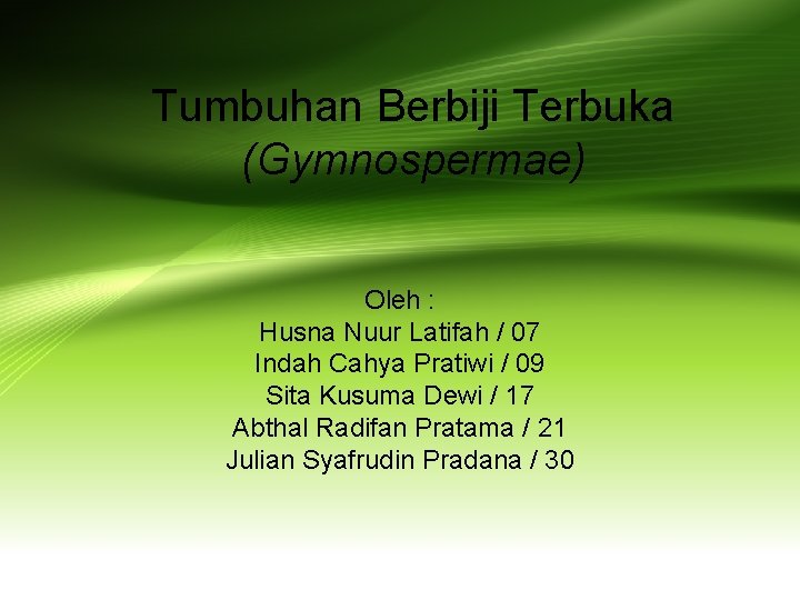 Tumbuhan Berbiji Terbuka (Gymnospermae) Oleh : Husna Nuur Latifah / 07 Indah Cahya Pratiwi