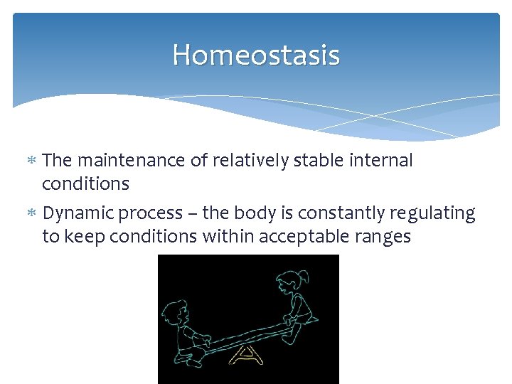 Homeostasis The maintenance of relatively stable internal conditions Dynamic process – the body is