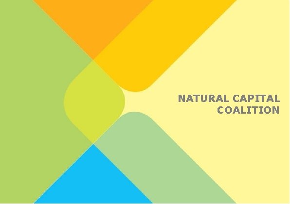 3 NATURAL CAPITAL COALITION 3 NATURAL CAPITAL COALITION