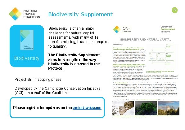 Biodiversity Supplement Biodiversity is often a major challenge for natural capital assessments, with many