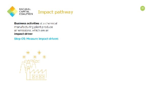 Impact pathway 61 