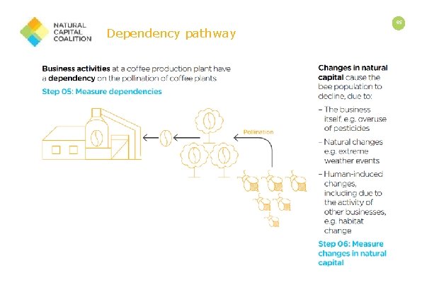 v v Dependency pathway 65 