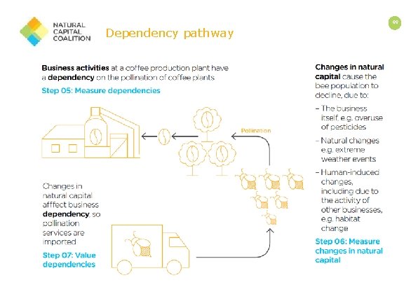 Dependency pathway 66 