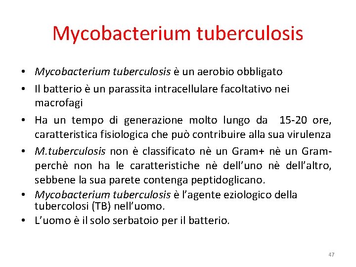 Mycobacterium tuberculosis • Mycobacterium tuberculosis è un aerobio obbligato • Il batterio è un