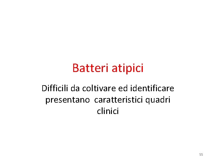 Batteri atipici Difficili da coltivare ed identificare presentano caratteristici quadri clinici 55 