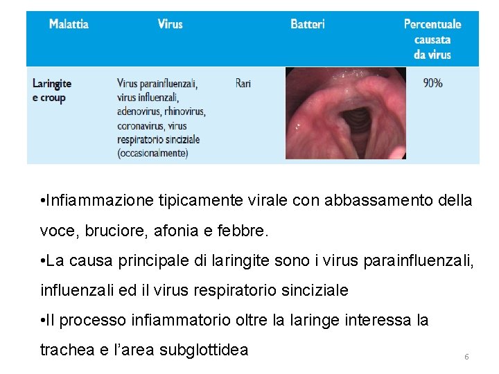  • Infiammazione tipicamente virale con abbassamento della voce, bruciore, afonia e febbre. •