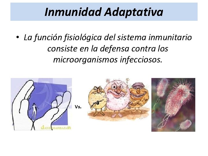 Inmunidad Adaptativa • La función fisiológica del sistema inmunitario consiste en la defensa contra