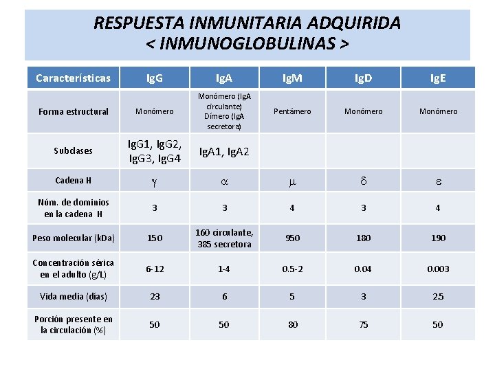 RESPUESTA INMUNITARIA ADQUIRIDA < INMUNOGLOBULINAS > Características Ig. G Ig. A Ig. M Ig.