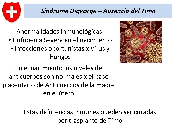 Sindrome Digeorge – Ausencia del Timo Anormalidades inmunológicas: • Linfopenia Severa en el nacimiento