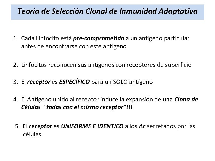 Teoría de Selección Clonal de Inmunidad Adaptativa 1. Cada Linfocito está pre-comprometido a un