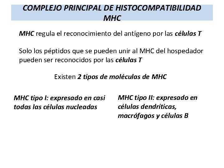 COMPLEJO PRINCIPAL DE HISTOCOMPATIBILIDAD MHC regula el reconocimiento del antígeno por las células T