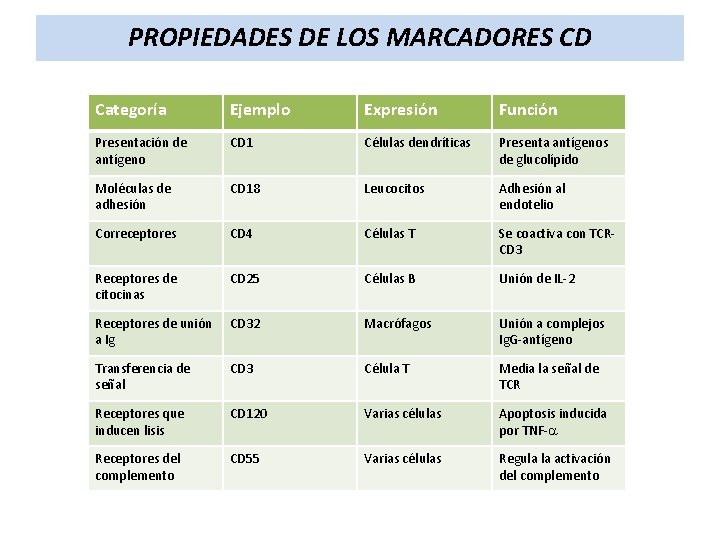 PROPIEDADES DE LOS MARCADORES CD Categoría Ejemplo Expresión Función Presentación de antígeno CD 1