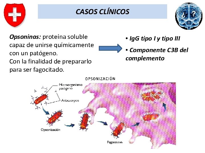 CASOS CLÍNICOS Opsoninas: proteína soluble capaz de unirse químicamente con un patógeno. Con la