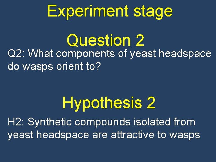 Experiment stage Question 2 Q 2: What components of yeast headspace do wasps orient