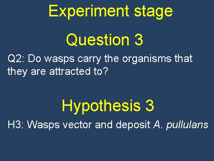 Experiment stage Question 3 Q 2: Do wasps carry the organisms that they are