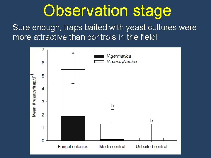 Observation stage Sure enough, traps baited with yeast cultures were more attractive than controls