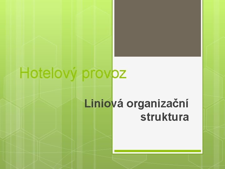 Hotelový provoz Liniová organizační struktura 