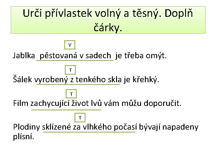 Urči přívlastek volný a těsný. Doplň čárky. V Jablka, pěstovaná v sadech, je třeba