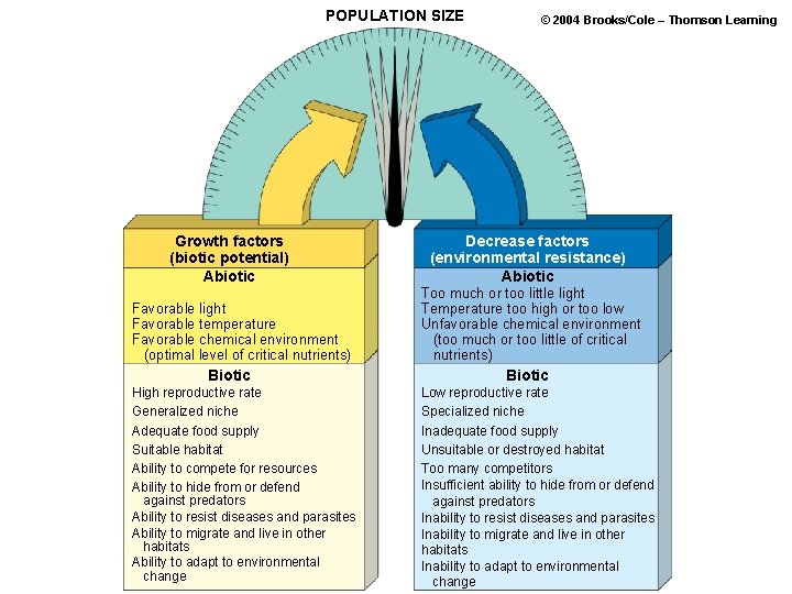 POPULATION SIZE Growth factors (biotic potential) Abiotic Favorable light Favorable temperature Favorable chemical environment POPULATION SIZE Growth factors (biotic potential) Abiotic Favorable light Favorable temperature Favorable chemical environment