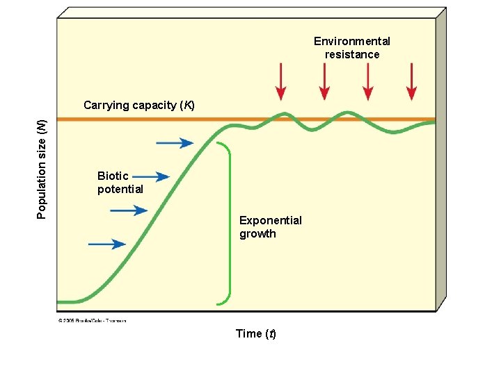 Figure 9 -4 Page 166 Environmental resistance Population size (N) Carrying capacity (K) Biotic Figure 9 -4 Page 166 Environmental resistance Population size (N) Carrying capacity (K) Biotic