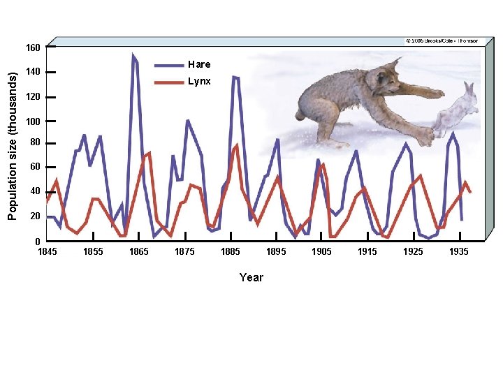 Population size (thousands) 160 Hare 140 Lynx 120 100 80 60 40 20 0 Population size (thousands) 160 Hare 140 Lynx 120 100 80 60 40 20 0