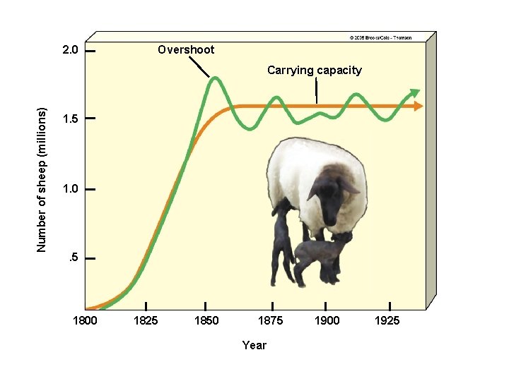 2. 0 Overshoot Number of sheep (millions) Carrying capacity 1. 5 1. 0 . 2. 0 Overshoot Number of sheep (millions) Carrying capacity 1. 5 1. 0 .
