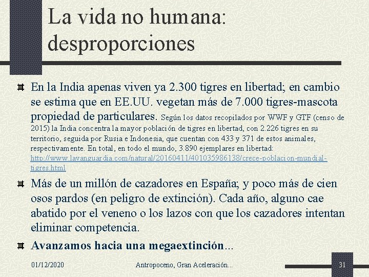 La vida no humana: desproporciones En la India apenas viven ya 2. 300 tigres