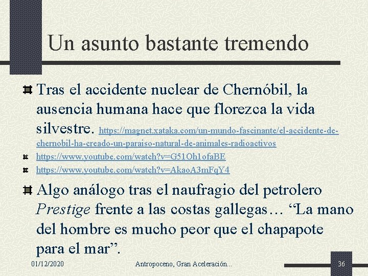 Un asunto bastante tremendo Tras el accidente nuclear de Chernóbil, la ausencia humana hace