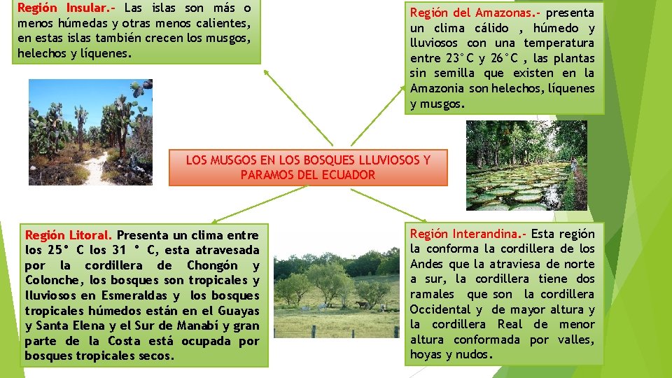 Región Insular. - Las islas son más o menos húmedas y otras menos calientes,